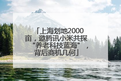 上海划地2000亩，邀腾讯小米共探“养老科技蓝海”，背后商机几何