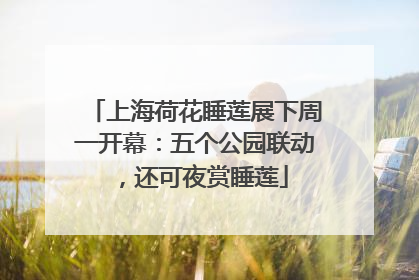上海荷花睡莲展下周一开幕：五个公园联动，还可夜赏睡莲