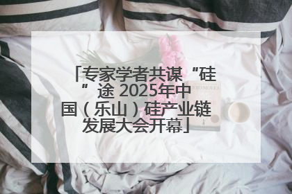 专家学者共谋“硅”途 2025年中国（乐山）硅产业链发展大会开幕