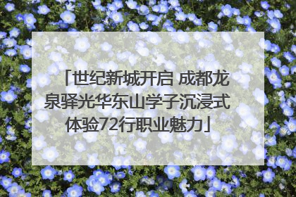 世纪新城开启 成都龙泉驿光华东山学子沉浸式体验72行职业魅力