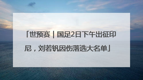 世预赛｜国足2日下午出征印尼，刘若钒因伤落选大名单