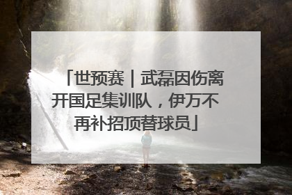 世预赛｜武磊因伤离开国足集训队，伊万不再补招顶替球员