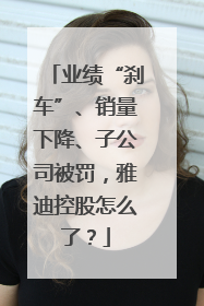 业绩“刹车”、销量下降、子公司被罚，雅迪控股怎么了？