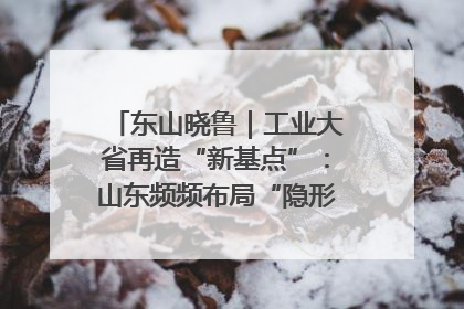 东山晓鲁｜工业大省再造“新基点”：山东频频布局“隐形冠军”背后