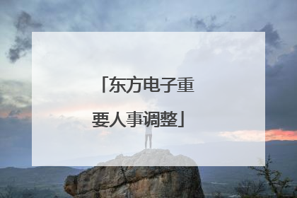 东方电子重要人事调整