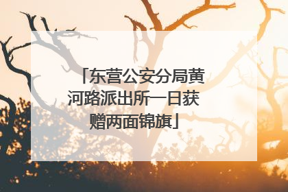 东营公安分局黄河路派出所一日获赠两面锦旗