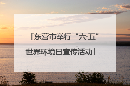 东营市举行“六·五”世界环境日宣传活动