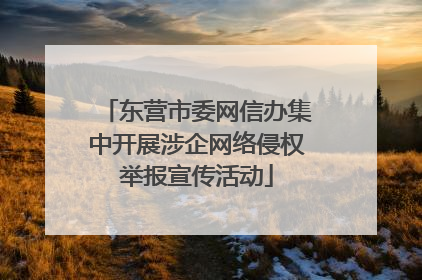 东营市委网信办集中开展涉企网络侵权举报宣传活动