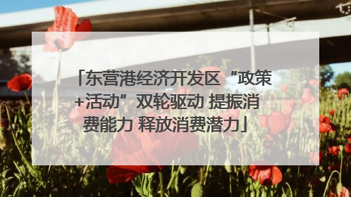 东营港经济开发区“政策+活动”双轮驱动 提振消费能力 释放消费潜力