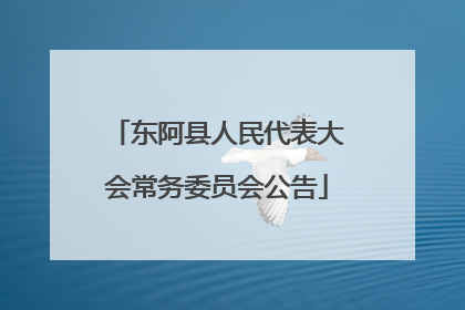 东阿县人民代表大会常务委员会公告
