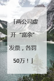 两公司虚开“富余”发票，各罚50万！