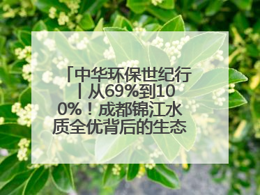 中华环保世纪行丨从69%到100%！成都锦江水质全优背后的生态治理密码
