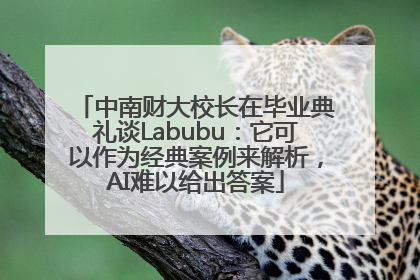 中南财大校长在毕业典礼谈Labubu：它可以作为经典案例来解析，AI难以给出答案