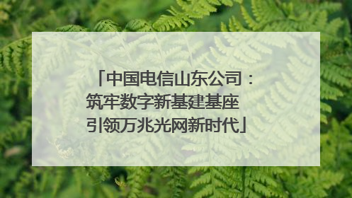 中国电信山东公司：筑牢数字新基建基座 引领万兆光网新时代
