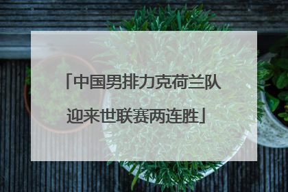 中国男排力克荷兰队 迎来世联赛两连胜