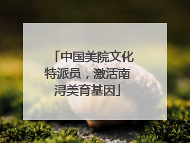 中国美院文化特派员，激活南浔美育基因