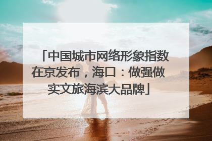 中国城市网络形象指数在京发布，海口：做强做实文旅海滨大品牌