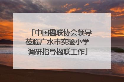中国楹联协会领导莅临广水市实验小学调研指导楹联工作