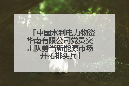 中国水利电力物资华南有限公司党员突击队勇当新能源市场开拓排头兵
