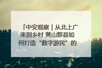 中安观察｜从北上广来到乡村 黄山黟县如何打造“数字游民”的“桃花源”？