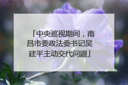 中央巡视期间，南昌市委政法委书记吴建平主动交代问题