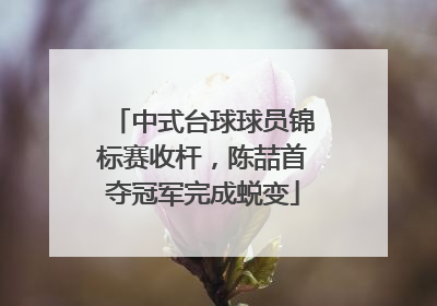 中式台球球员锦标赛收杆，陈喆首夺冠军完成蜕变