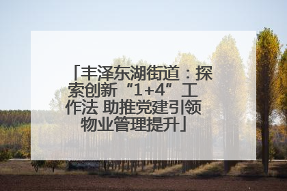 丰泽东湖街道：探索创新“1+4”工作法 助推党建引领物业管理提升
