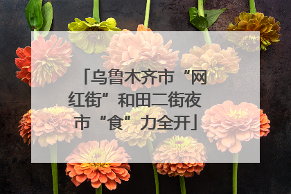 乌鲁木齐市“网红街”和田二街夜市“食”力全开