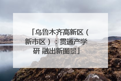 乌鲁木齐高新区（新市区）：贯通产学研 融出新图景