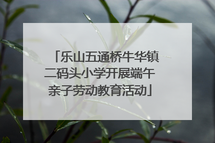 乐山五通桥牛华镇二码头小学开展端午亲子劳动教育活动