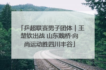 乒超联赛男子团体｜王楚钦出战 山东魏桥·向尚运动胜四川丰谷