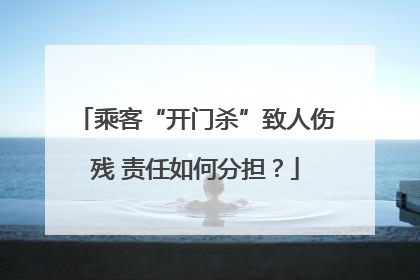 乘客“开门杀”致人伤残 责任如何分担？