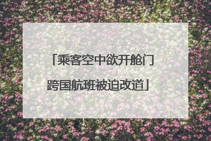 乘客空中欲开舱门 跨国航班被迫改道