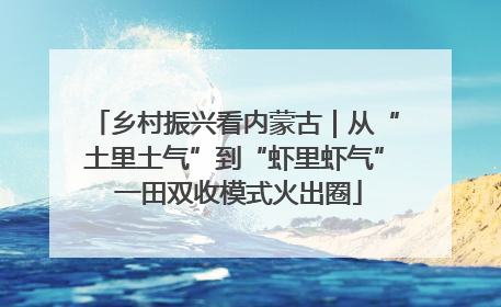 乡村振兴看内蒙古｜从“土里土气”到“虾里虾气” 一田双收模式火出圈