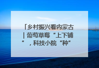 乡村振兴看内蒙古｜葡萄草莓“上下铺”，科技小院“种”出三倍效益