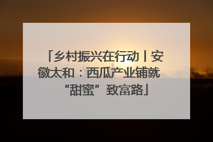 乡村振兴在行动丨安徽太和：西瓜产业铺就“甜蜜”致富路