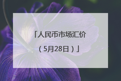 人民币市场汇价（5月28日）