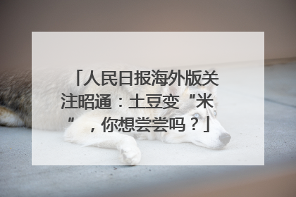 人民日报海外版关注昭通：土豆变“米”，你想尝尝吗？