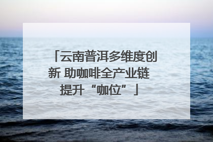 云南普洱多维度创新 助咖啡全产业链提升“咖位”
