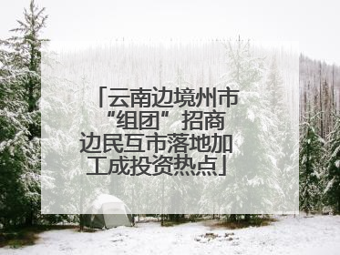云南边境州市“组团”招商 边民互市落地加工成投资热点