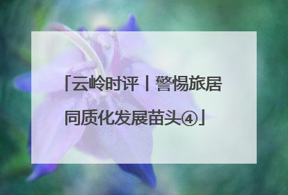 云岭时评丨警惕旅居同质化发展苗头④