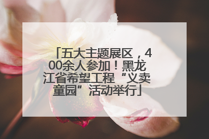 五大主题展区，400余人参加！黑龙江省希望工程“义卖童园”活动举行
