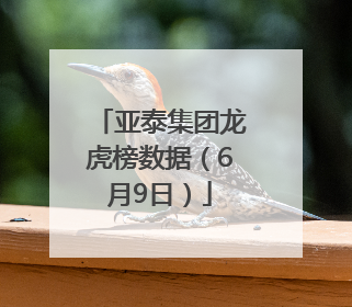 亚泰集团龙虎榜数据（6月9日）