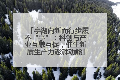 亭湖向新而行步履不“亭”：科创与产业互融互促，催生新质生产力澎湃动能