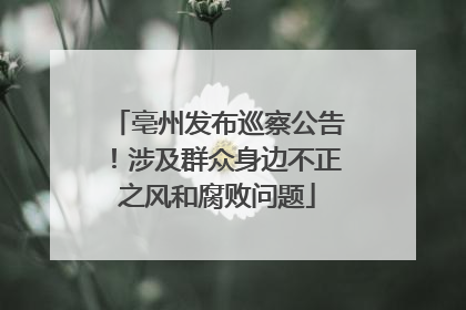亳州发布巡察公告！涉及群众身边不正之风和腐败问题