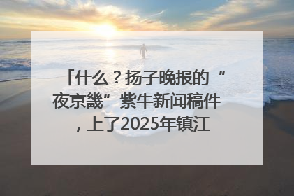 什么？扬子晚报的“夜京畿”紫牛新闻稿件，上了2025年镇江中考模拟卷！
