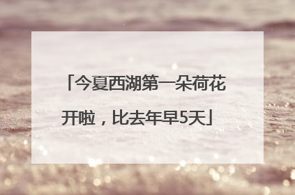 今夏西湖第一朵荷花开啦，比去年早5天