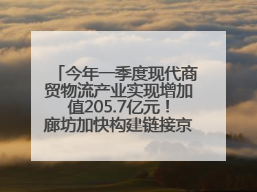 今年一季度现代商贸物流产业实现增加值205.7亿元！廊坊加快构建链接京津冀面向全世界的物流通道