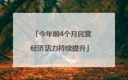 今年前4个月民营经济活力持续提升