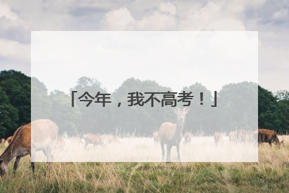 今年，我不高考！